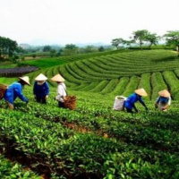 VOV - Thời sự 12h (18/11/2019)