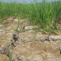 VOV - Thời sự 18h (24/5/2020)