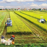 VOV - Thời sự 18h (10/6/2020)