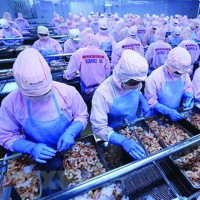 VOV - Thời sự 12h (23/10/2019)