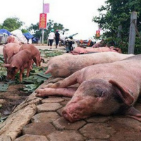 VOV - Thời sự 12h (4/6/2019)