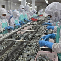 Thời sự 12h 22/4/2025: Nông nghiệp Việt Nam chuẩn bị 3 kịch bản ứng phó với thuế quan của Mỹ.