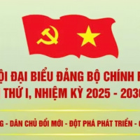 Thời sự 6h 12/10/2025: Đại hội đại biểu Đảng bộ Chính phủ lần thứ I, nhiệm kỳ 2025-2030