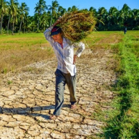 Thời sự 12h 19/4/2025: Nhiều địa phương xuất hiện tình trạng khô hanh hiếm thấy