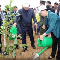 Chương trình thời sự trưa (13/2/2019)