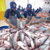 Chương trình thời sự sáng (10/2/2019)