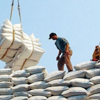 VOV - Thời sự 12h (1/5/2020)