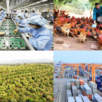 Thời sự 12h 5/3/2025: Tháng 2- nhiều chỉ số kinh tế vĩ mô diễn biến tích cực