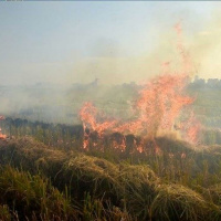 VOV - Thời sự 18h (29/9/2019)