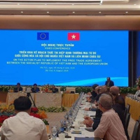 VOV - Thời sự 12h (6/8/2020)