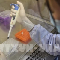 VOV - Thời sự 12h (11/2/2020)