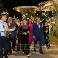 Chương trình thời sự sáng (3/2/2019)