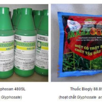 VOV - Thời sự 6h (11/4/2019)