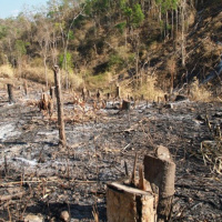 VOV - Thời sự 12h (23/6/2020)