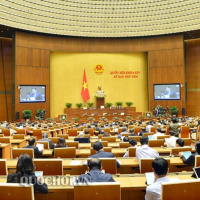 VOV - Thời sự 6h (25/11/2019)