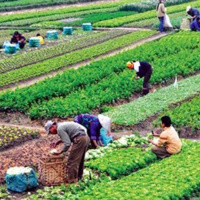 VOV - Thời sự 18h (14/10/2019)