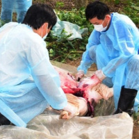 VOV - Thời sự 6h (19/3/2019)