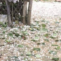 VOV - Thời sự 6h (26/1/2020)