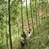 VOV - Thời sự 18h (22/6/2019)