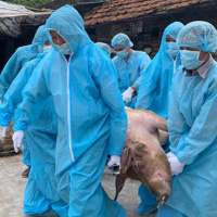 VOV - Thời sự 6h (18/7/2020)