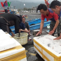 VOV - Thời sự 18h (23/4/2019)