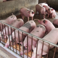 VOV - Thời sự 6h (16/3/2019)