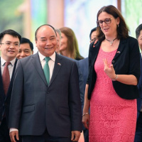 VOV - Thời sự 6h (1/11/2019)