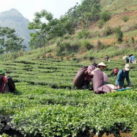 VOV - Thời sự 6h (21/8/2019)