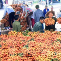 VOV - Thời sự 6h (31/5/2020)