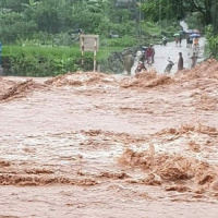 VOV - Thời sự 12h (3/8/2020)