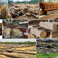 VOV1 - Thời sự 6h - 22/2/2019