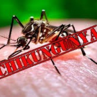 Thời sự 6h 12/8/2025: Chuyên gia khuyến cáo người dân không nên hoang mang về dịch bệnh Chikungunya