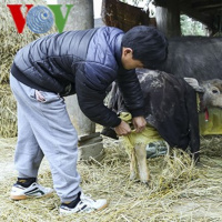 VOV - Thời sự 18h (8/12/2019)