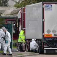 VOV - Thời sự 12h (7/11/2019)