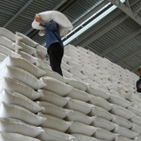 VOV - Thời sự 12h (8/5/2020)