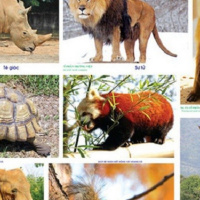 VOV - Thời sự 6h (24/7/2020)