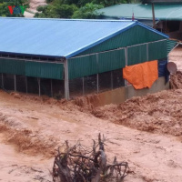 VOV - Thời sự 18h (3/8/2019)