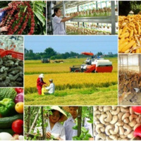 VOV - Thời sự 6h (23/12/2019)