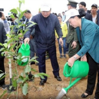 Chương trình Thời sự chiều (13/2/2019)