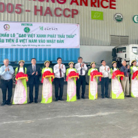 Thời sự 18h 5/6/2025: Xuất khẩu lô 500 tấn ‘gạo Việt Nam phát thải thấp’ đầu tiên sang Nhật Bản