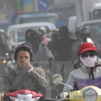 VOV - Thời sự 12h (11/11/2019)