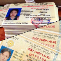 VOV - Thời sự 12h (18/7/2020)