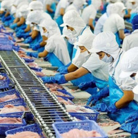 Thời sự 6h 25/4/2025: Lần đầu tiên Việt Nam đứng thứ 4 đối tác xuất khẩu thủy sản vào Singapore