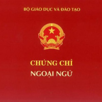 VOV - Thời sự 6h (29/11/2019)