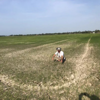 VOV - Thời sự 12h (7/2/2020)