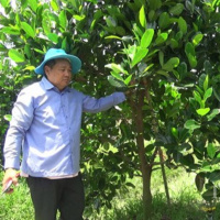 VOV - Thời sự 6h (12/10/2019)