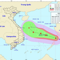 VOV - Thời sự 6h (26/12/2019)