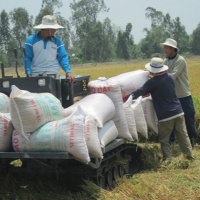 VOV - Thời sự 6h (13/4/2020)