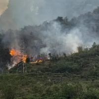 Thời sự 6h 23/3/2025: Cảnh báo cháy rừng tại các tỉnh phía Bắc