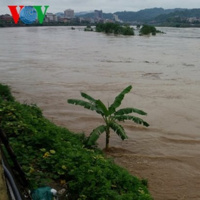 VOV - Thời sự 18h (19/8/2020)